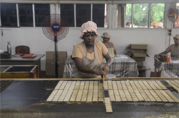 worker baking cookies at the Rault Biscuit Factory in mahebourg