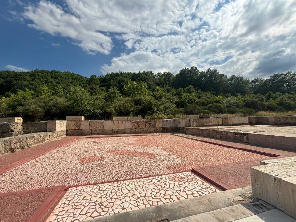 Mosaic floor in aigai palace