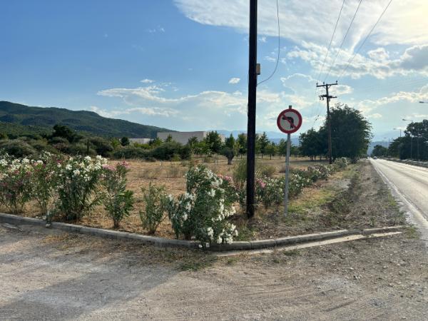 new vergina museum parking lot