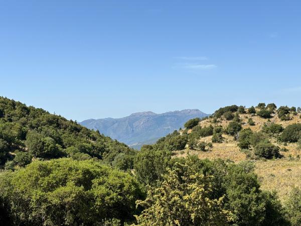 mountain view from the menalon mountain trail