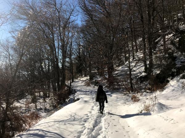 hiking in greece mount pelion