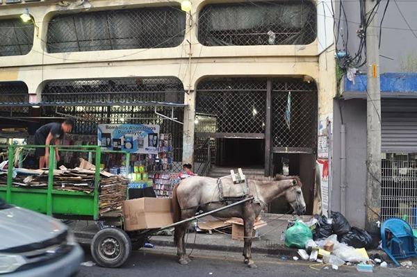 Ιππήλατο κάρο για συλλογή χαρτονιού στο σαν πέδρο σούλα της ονδούρας