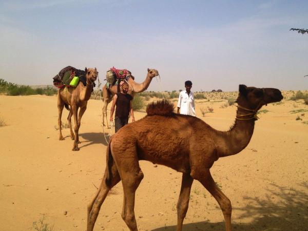 traveling in thar desert 