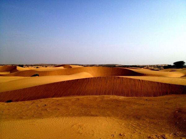 dunes in thar desert 