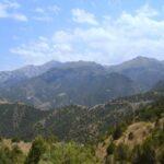 mountains view in zaamin national park in uzbekistan