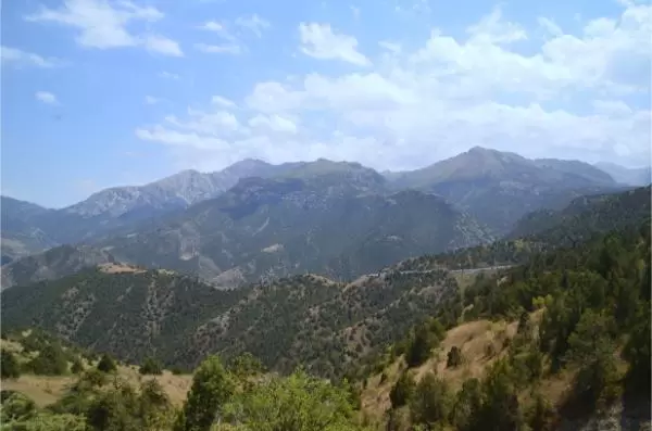 mountains view in zaamin national park in uzbekistan