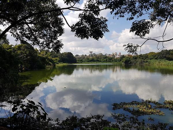 serene lake in Tsarasaotra Park in antananarivo, madagascar