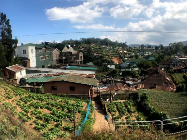 Farms in the outskirts of Nuwara Eliya