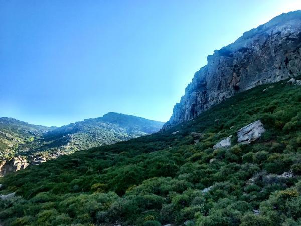 αναβαση οχης στην νοτια ευβοια 