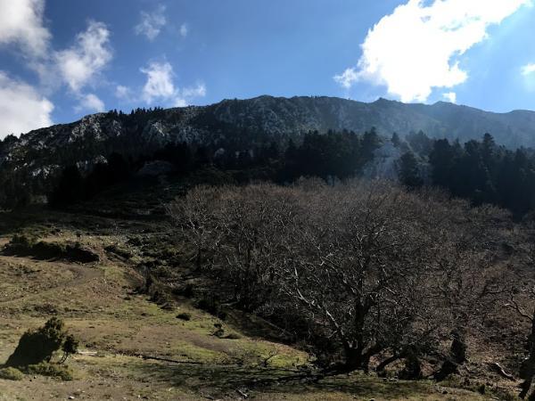 υπέροχη θέα του όρους πυξαριάς στην εύβοια