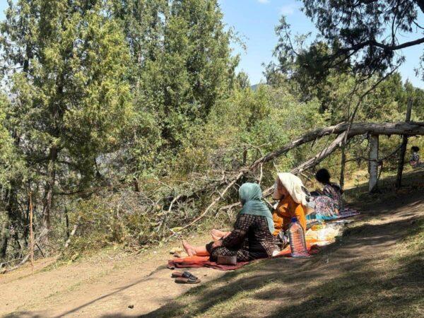 Picnicking uzbeks in zaamin national park