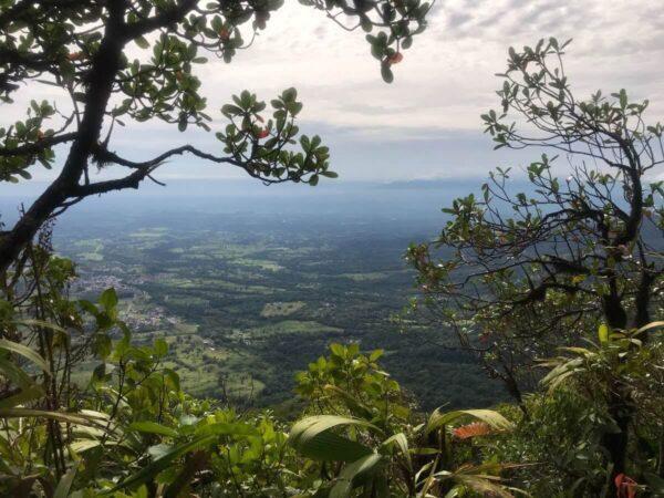 View from the first forest clearings en route to the top of arenal volcano 