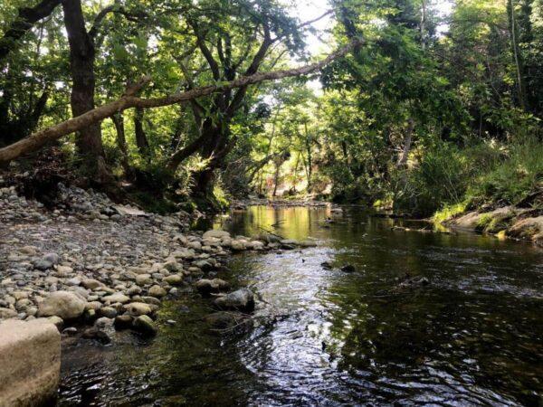 The river at Eria, evia island