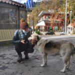 Socializing with friendly strays in Steni village, evia island