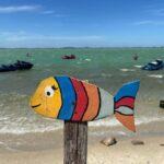 colorful fish figure at beach of lake araruama in the town of figueira in brazil