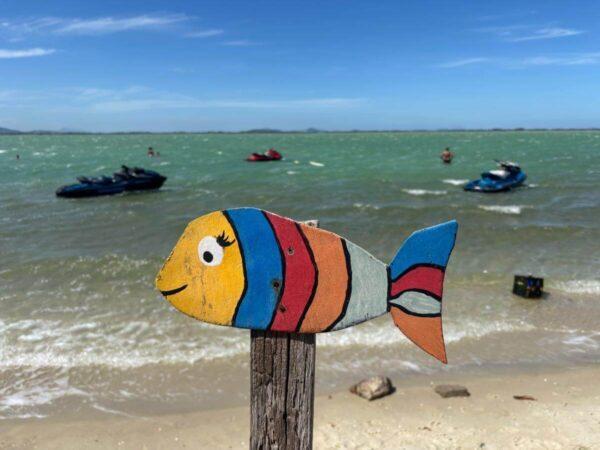 colorful fish figure at beach of lake araruama in the town of figueira in brazil